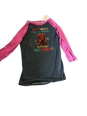 Kids Raglan Long Sleeve Tee with Dachshund Graphic - Pink & Dark Green